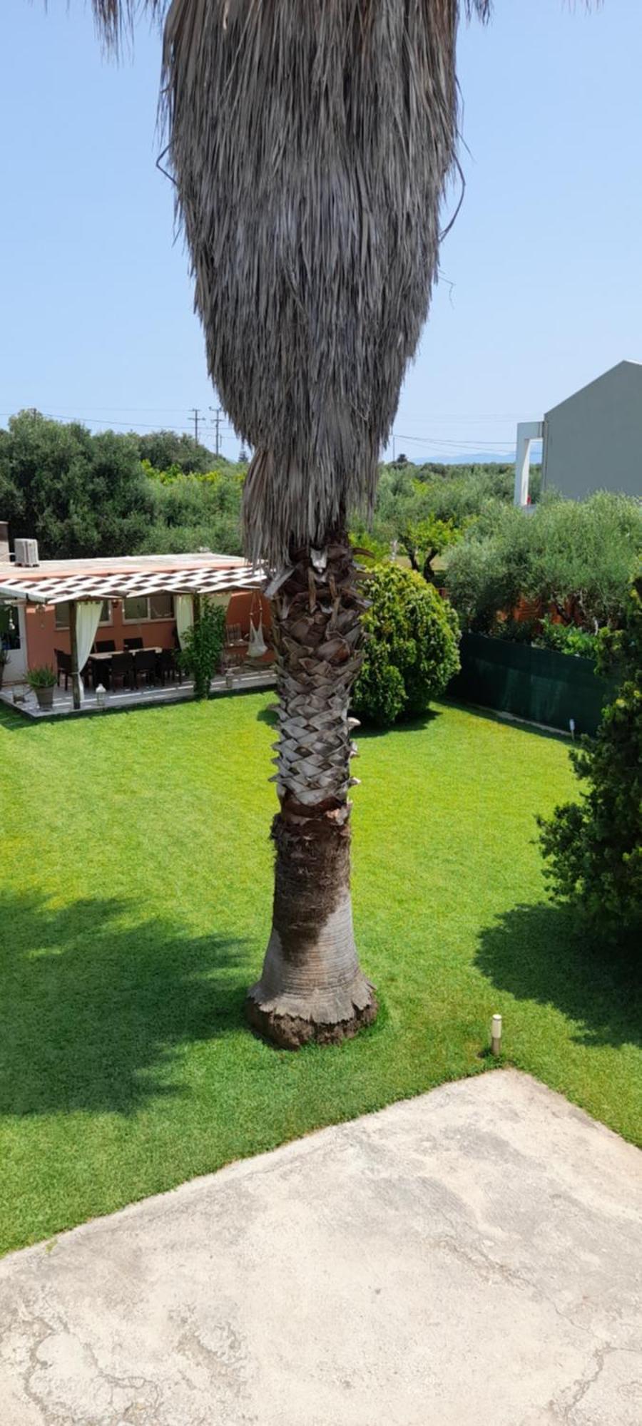 Villa Oneiropagida Preveza Exterior foto
